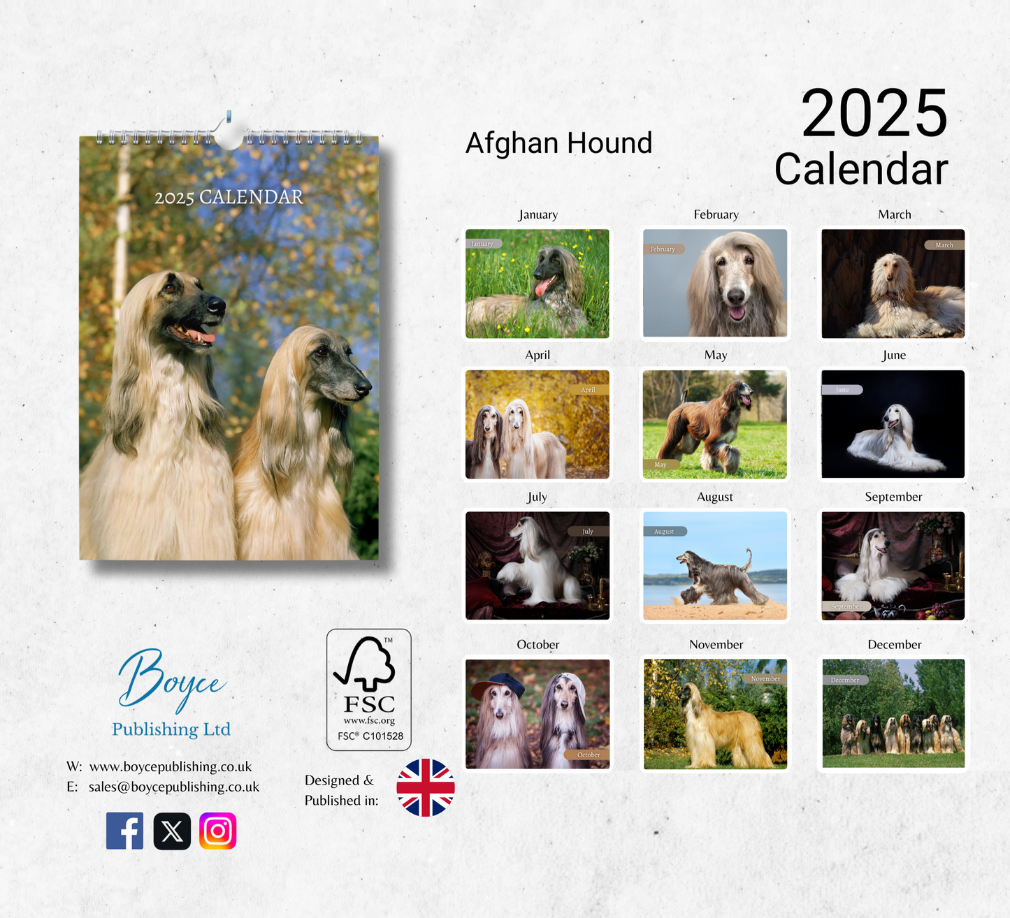 Afghan Hound Calendar 2025