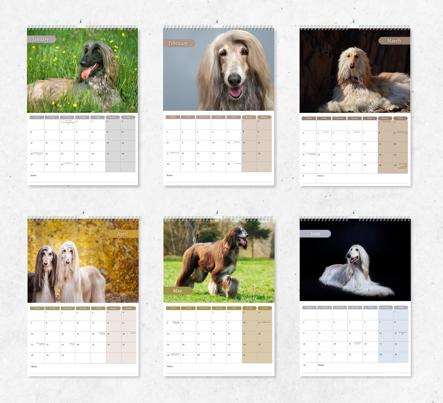 Afghan Hound Calendar 2025