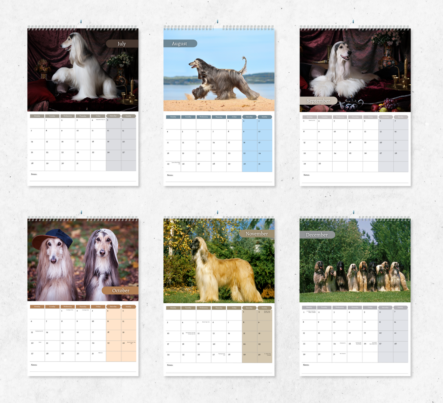 Afghan Hound Calendar 2025