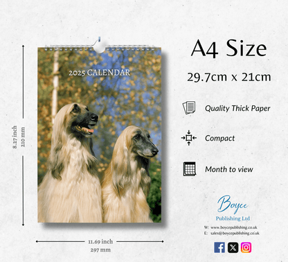 Afghan Hound Calendar 2025