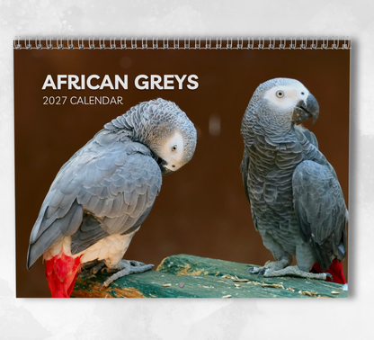 African Greys Calendar 2027
