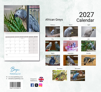 African Greys Calendar 2027