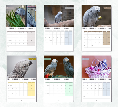 African Greys Calendar 2027