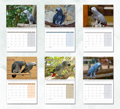 African Greys Calendar 2027