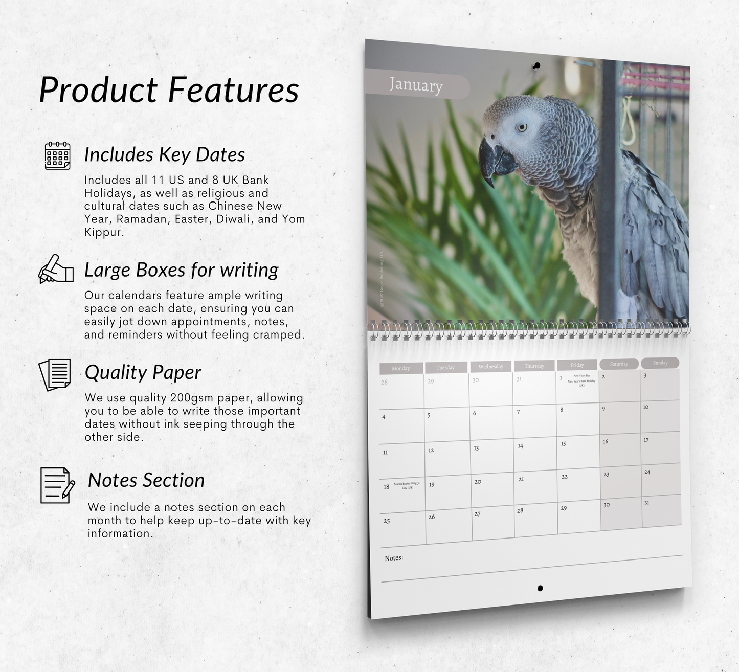 African Greys Calendar 2027
