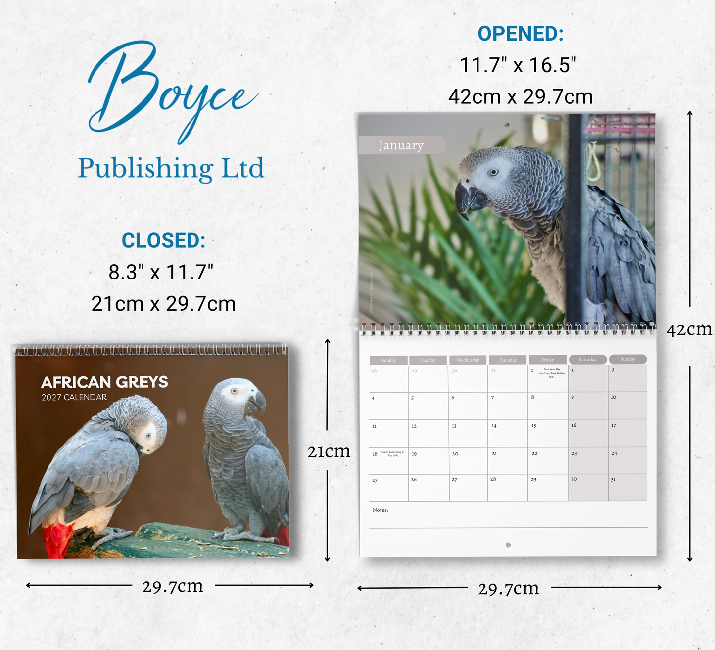 African Greys Calendar 2027