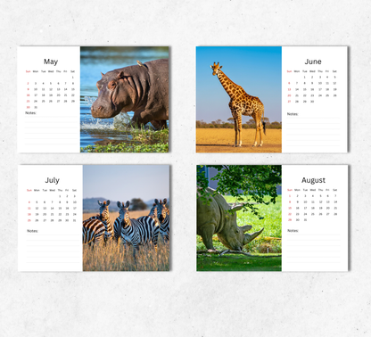 African Wildlife Desk Calendar 2027-2028