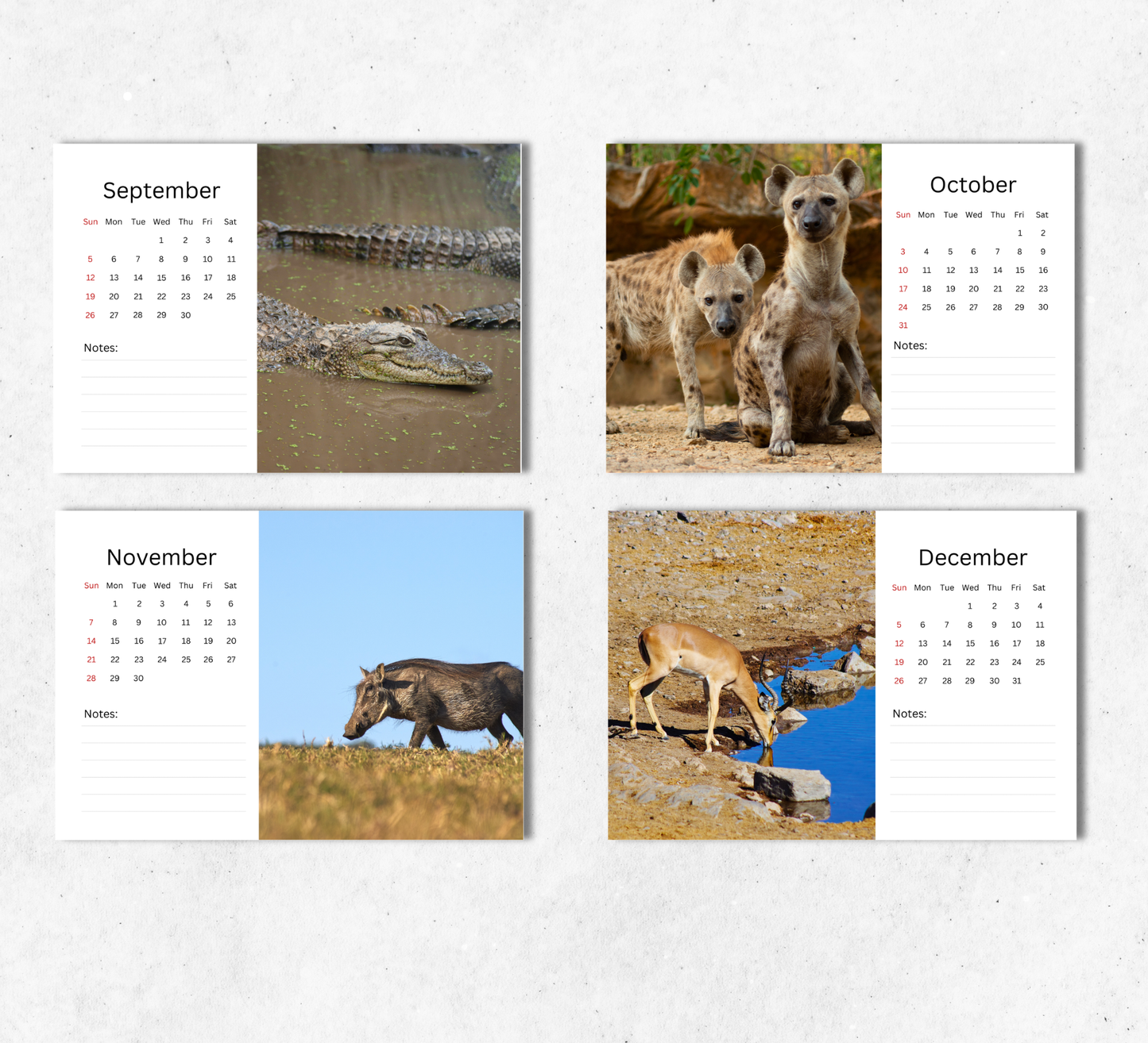 African Wildlife Desk Calendar 2027-2028