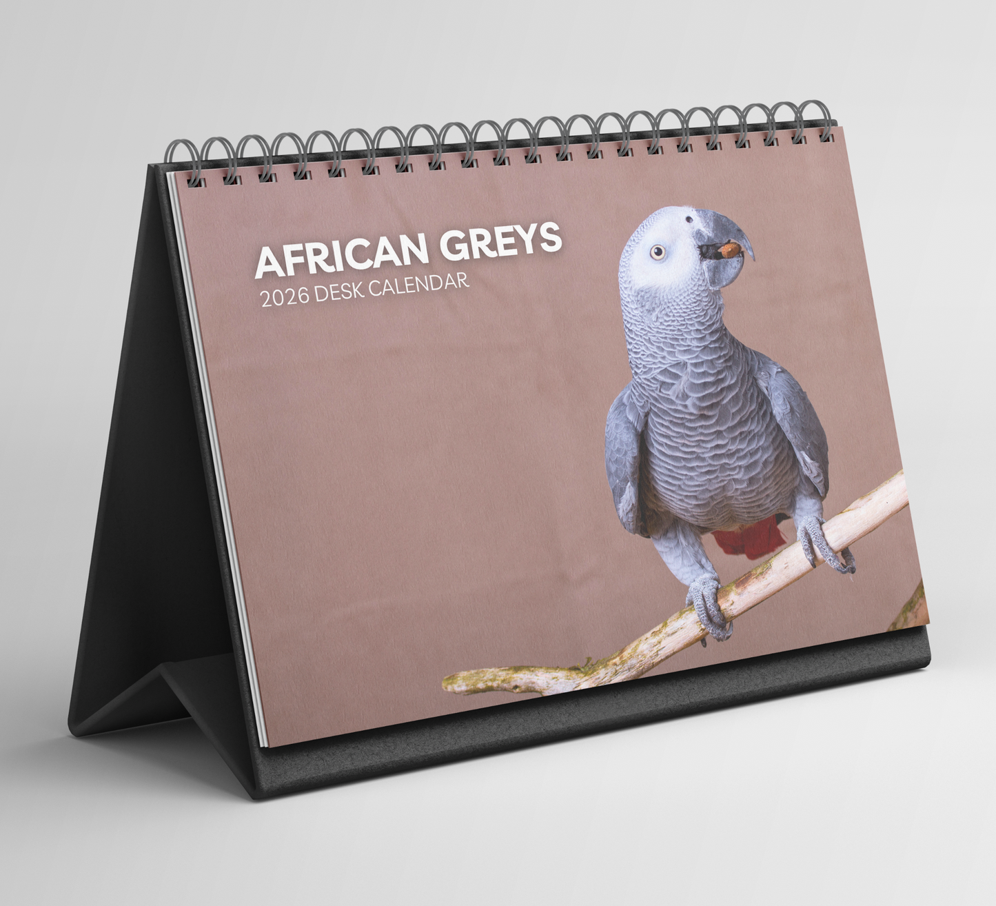 African Greys Desk Calendar 2026-2027