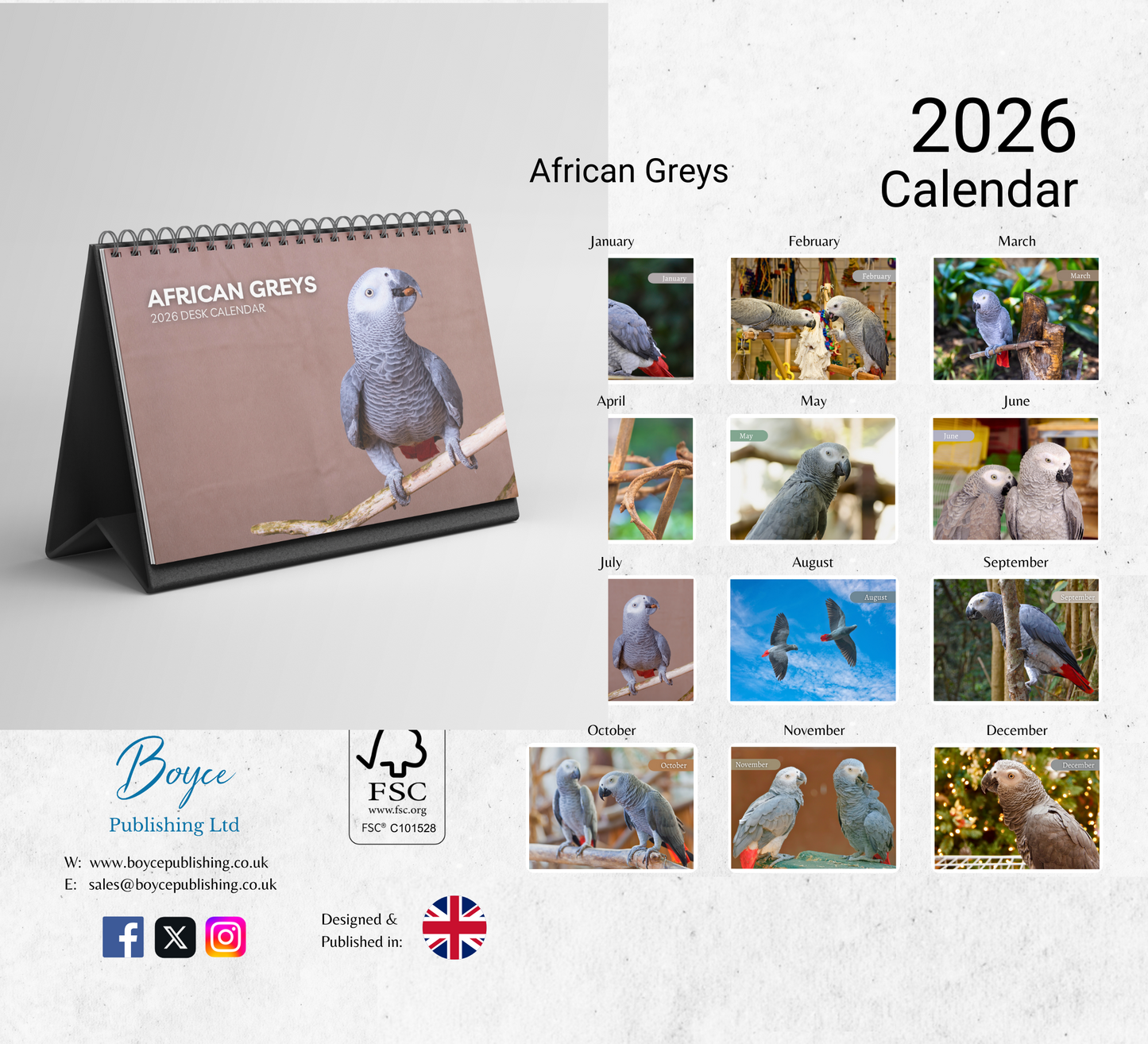 African Greys Desk Calendar 2026-2027