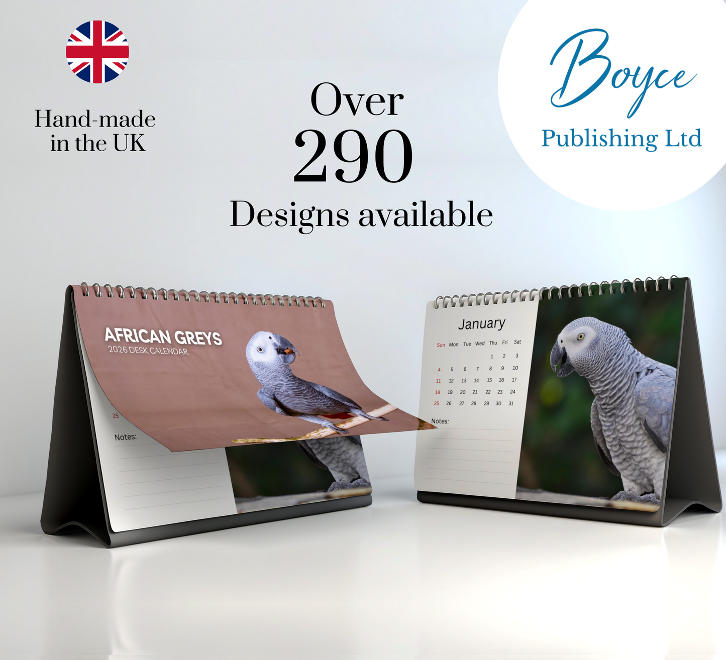 African Greys Desk Calendar 2026-2027