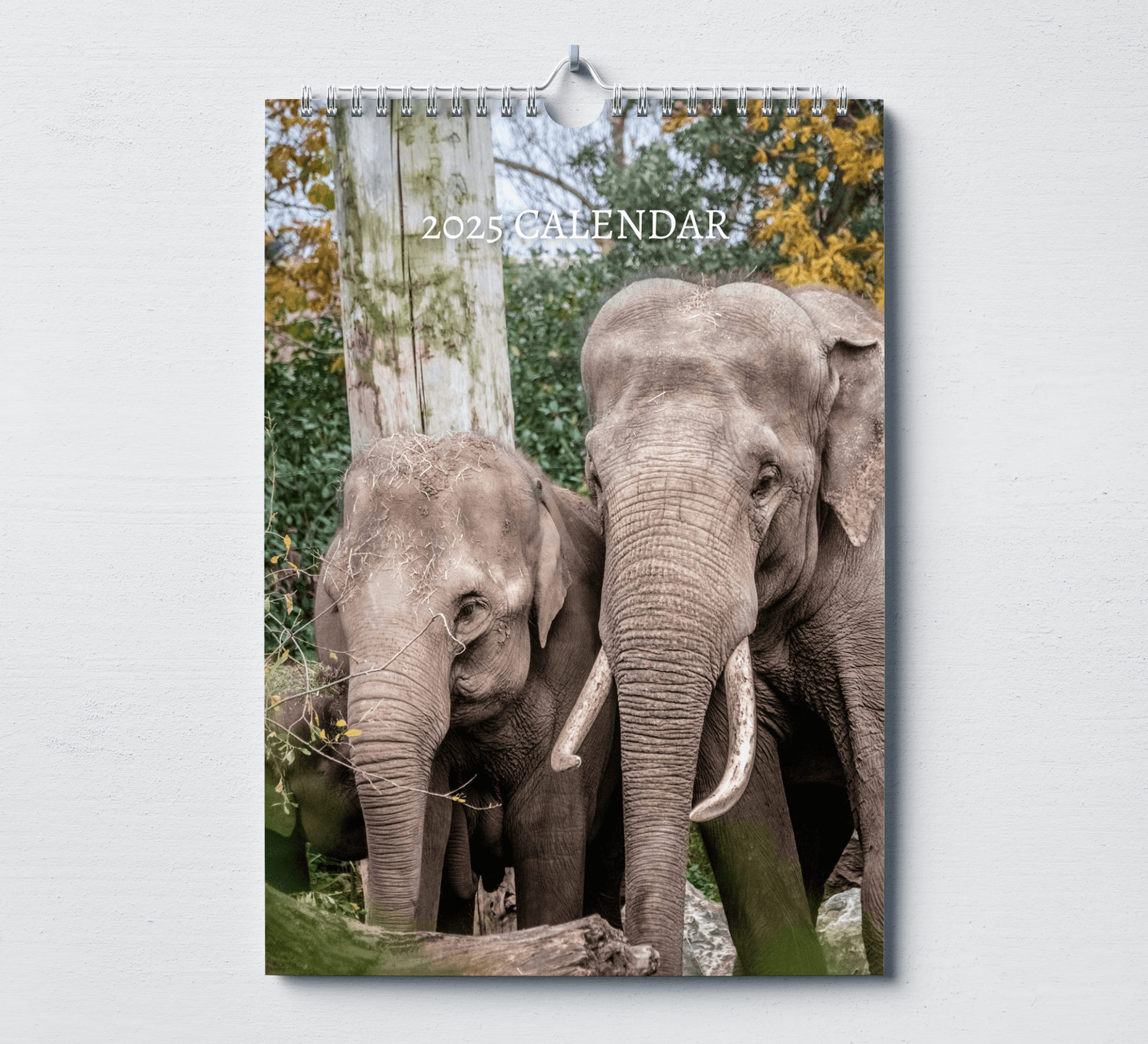 2025 African Wildlife calendar featuring a two white elephants standing next to a tree.