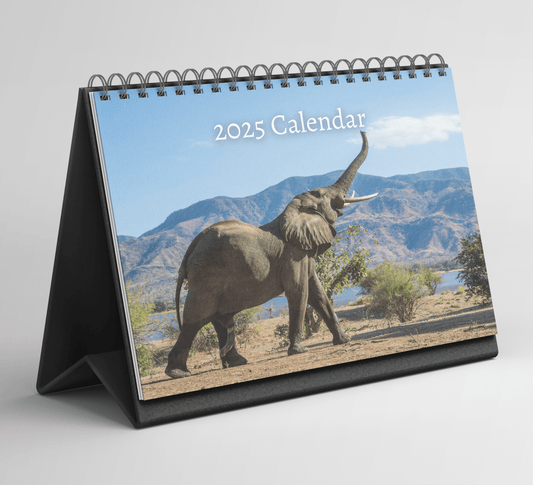 African Wildlife Desk Calendar 2025