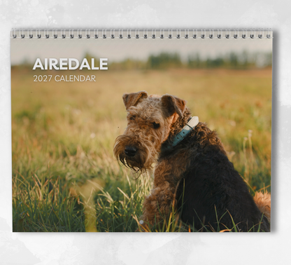 Airedale Calendar 2027