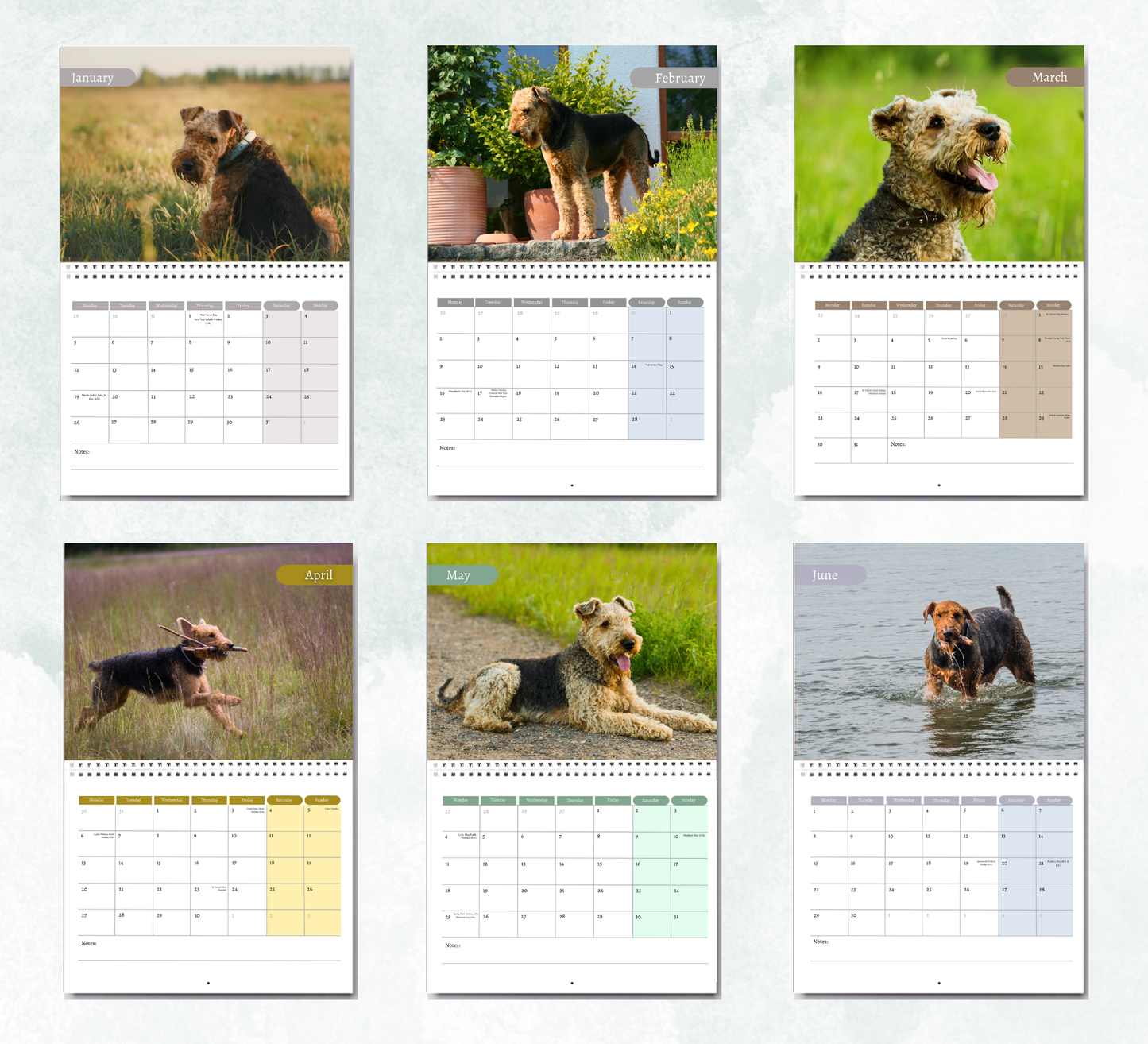 Airedale Calendar 2027