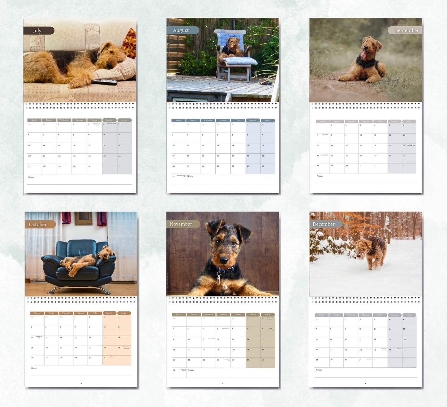 Airedale Calendar 2027