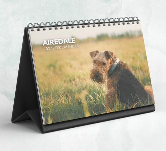 Airedale Desk Calendar 2027-2028