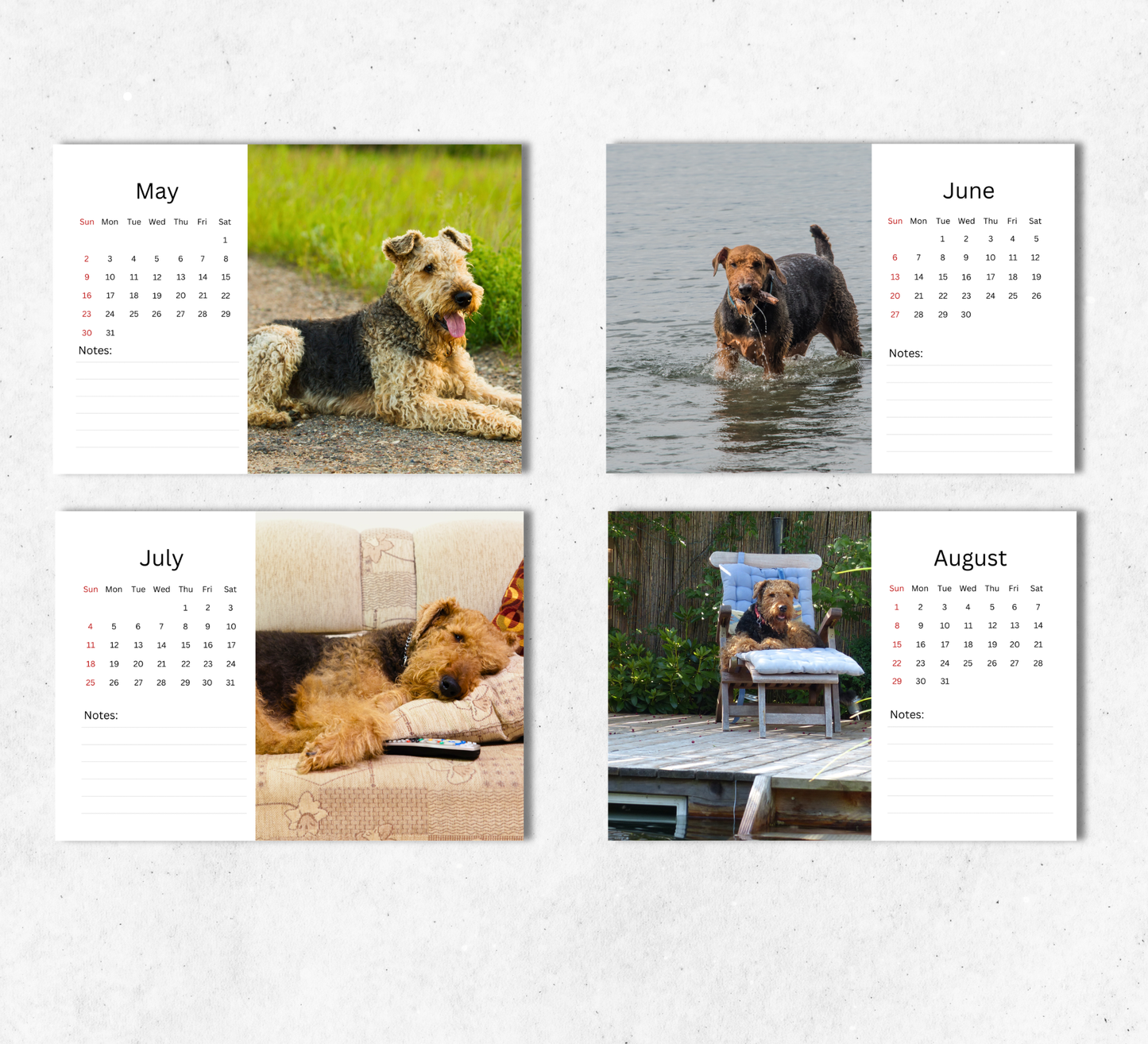 Airedale Desk Calendar 2027-2028