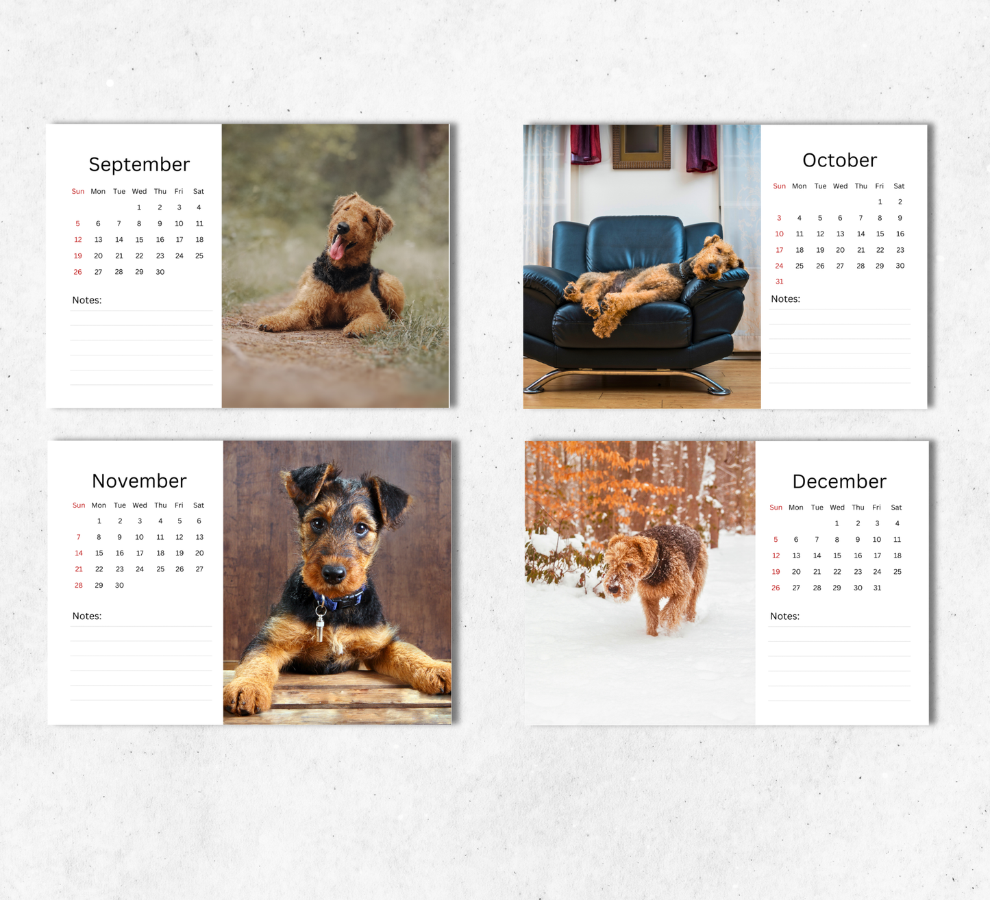Airedale Desk Calendar 2027-2028