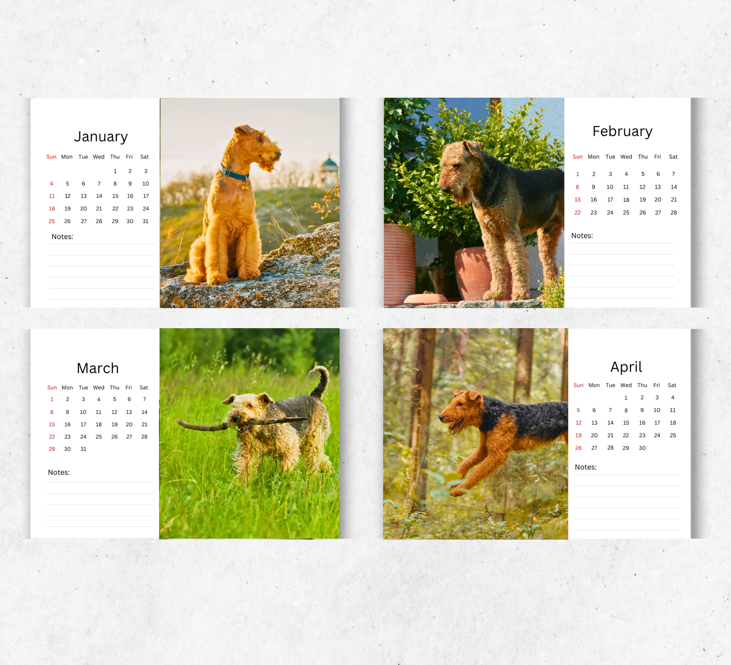 Airedale Desk Calendar 2026-2027