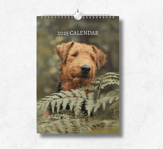 2025 Airedale calendar featuring a brown airedale poking its head above some green leaves.