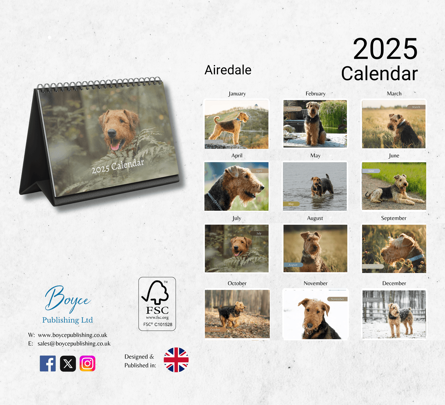 Airedale Desk Calendar 2025