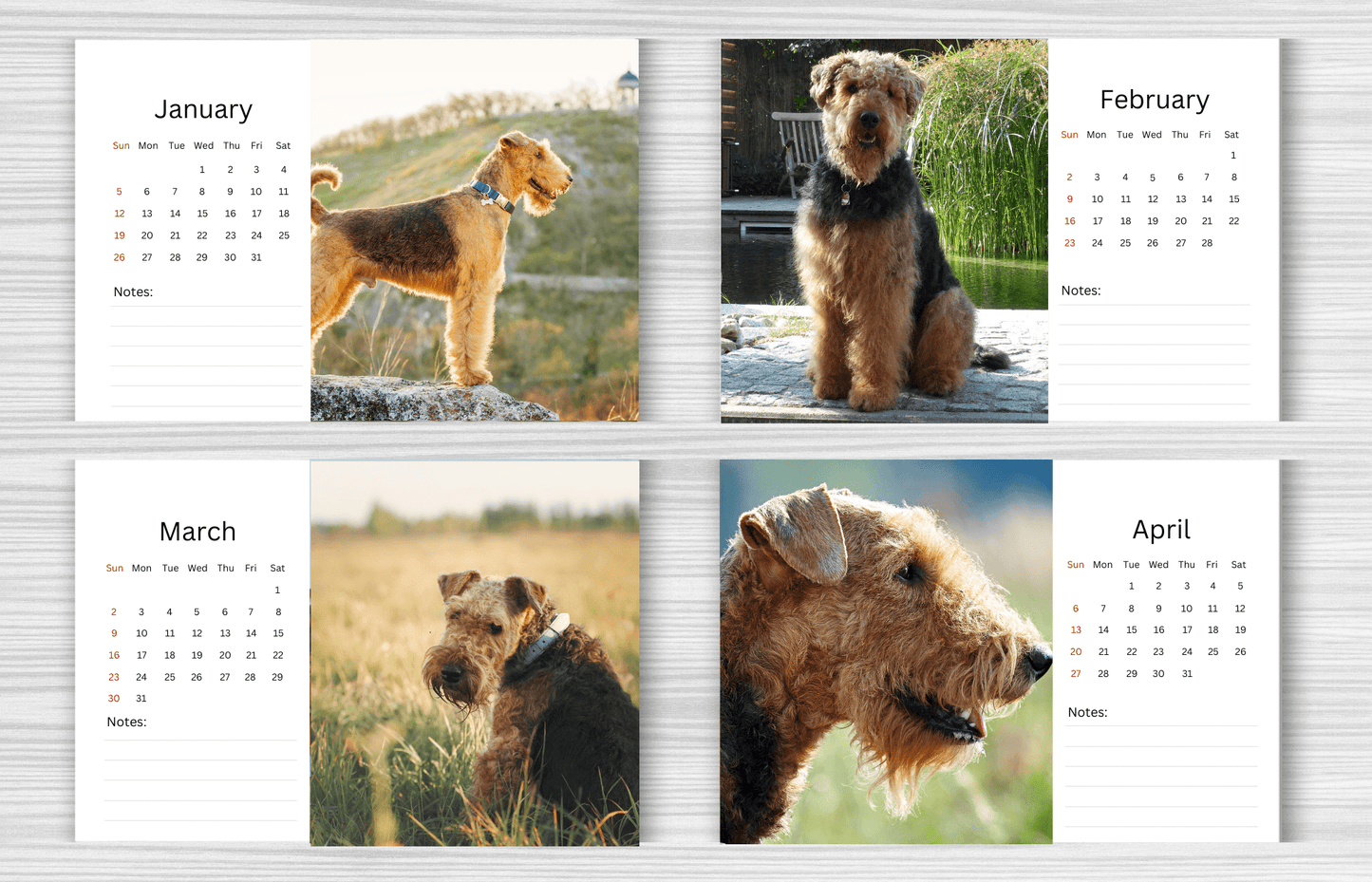 Airedale Desk Calendar 2025