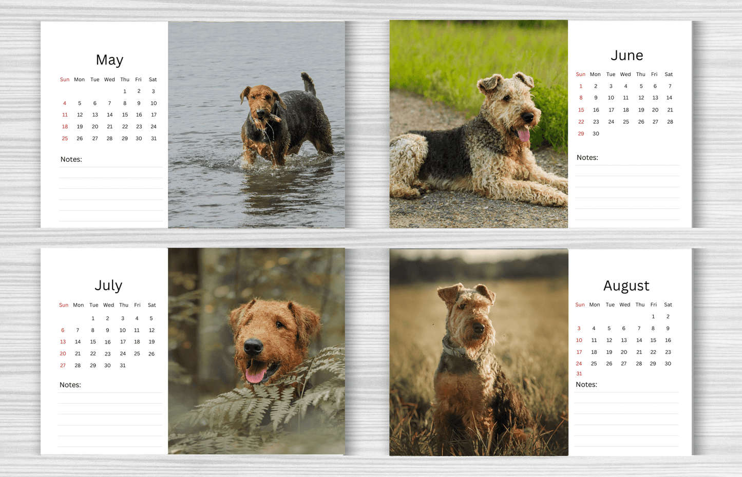 Airedale Desk Calendar 2025