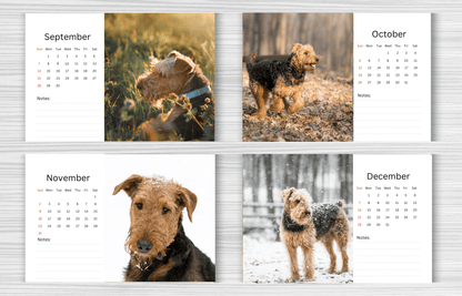 Airedale Desk Calendar 2025