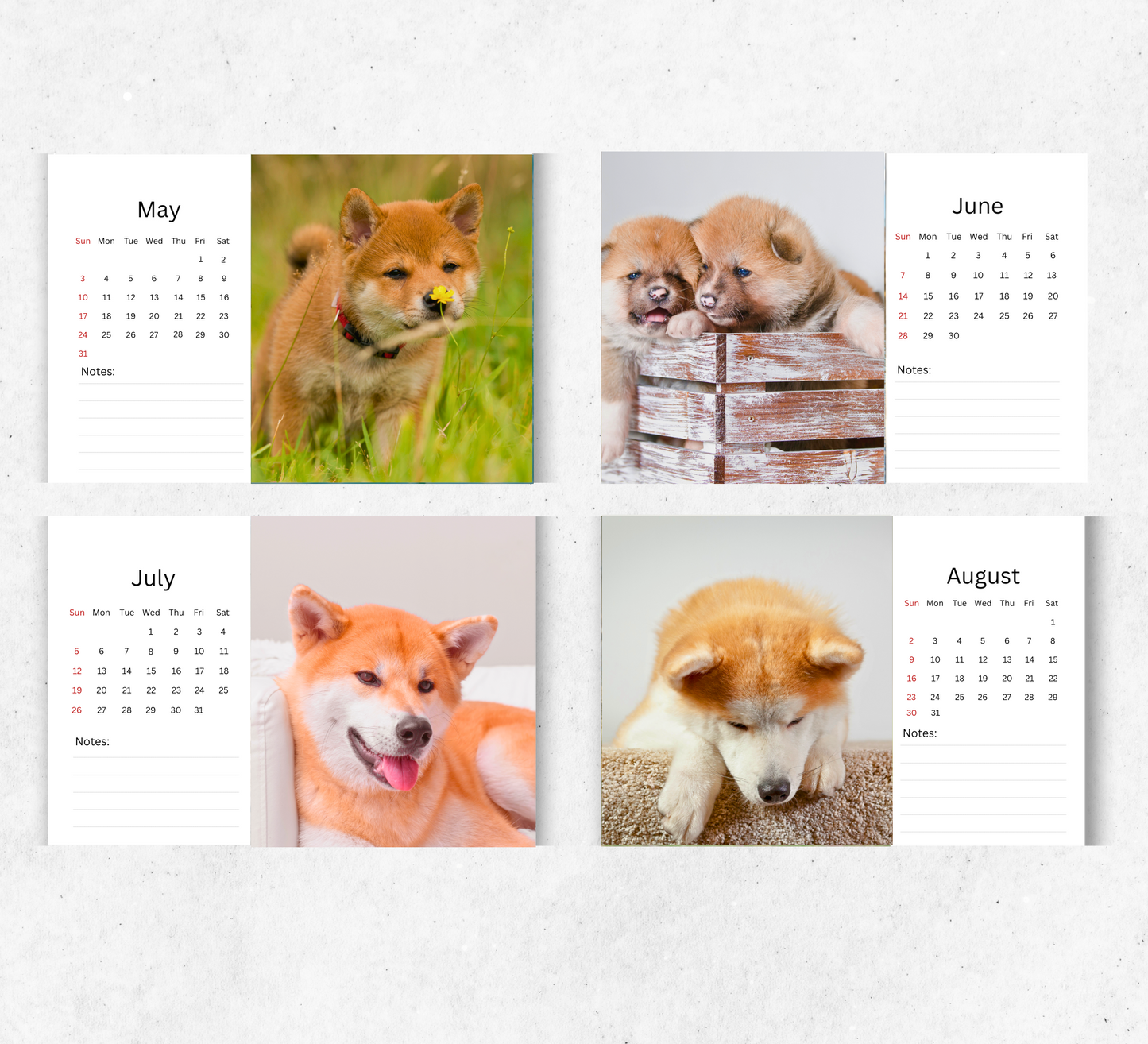 Akita Desk Calendar 2026-2027