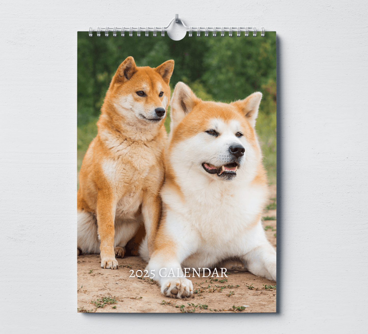 2025 Akita calendar featuring two akitas, one mother and her puppy, laying down on a dry field.