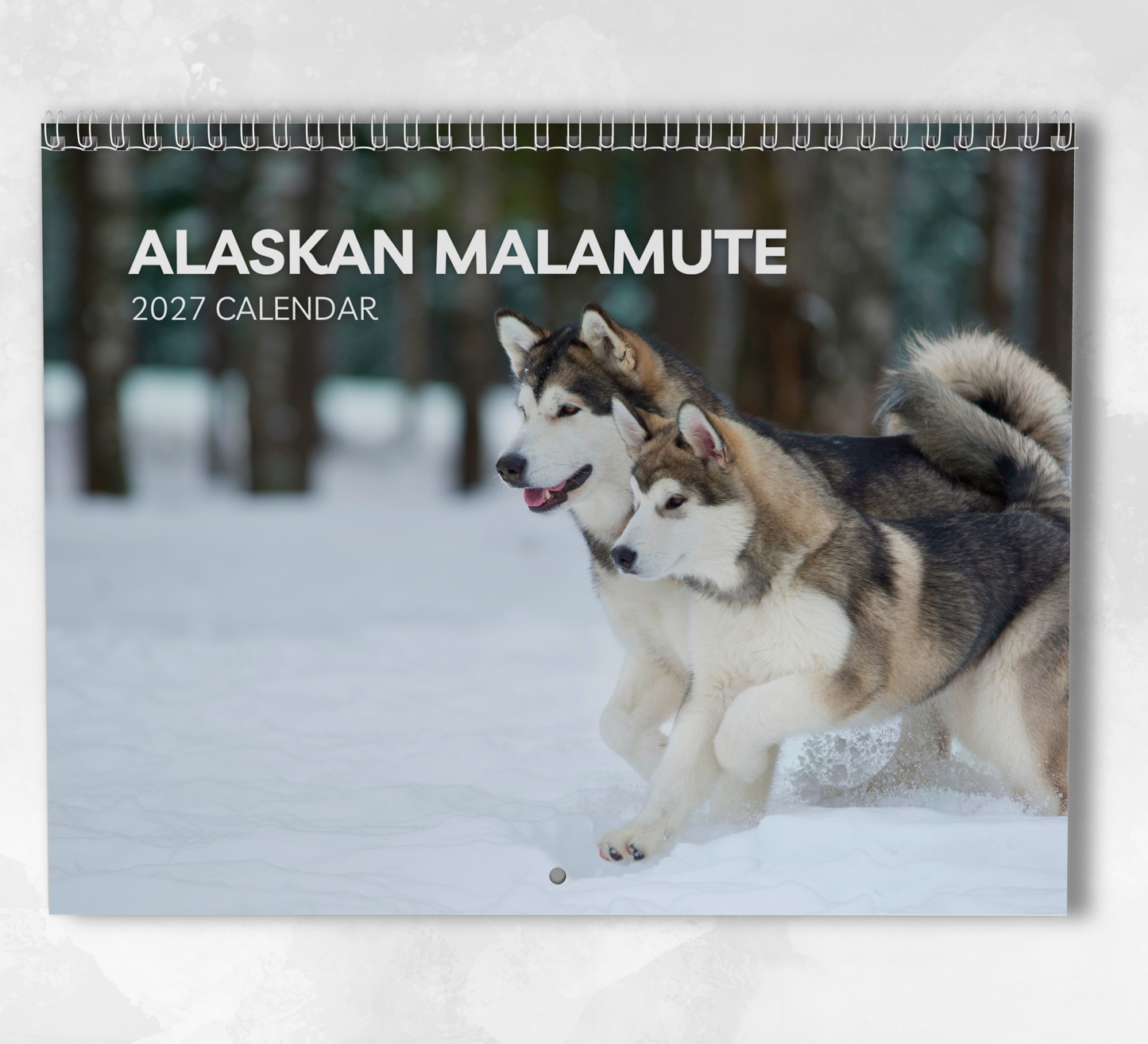 Alaskan Malamute Calendar 2027