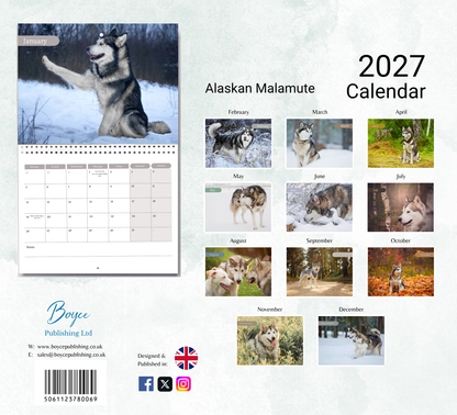 Alaskan Malamute Calendar 2027