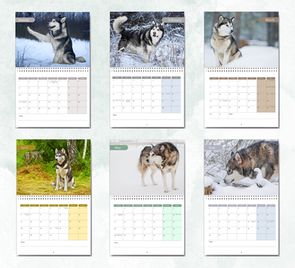 Alaskan Malamute Calendar 2027