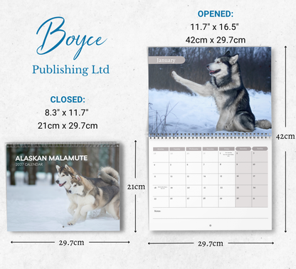 Alaskan Malamute Calendar 2027