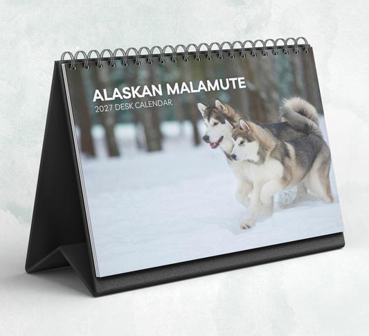 Alaskan Malamute Desk Calendar 2027-2028