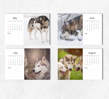 Alaskan Malamute Desk Calendar 2027-2028