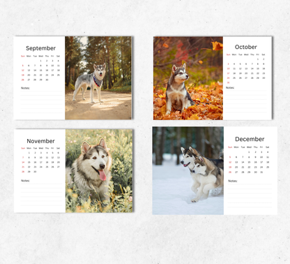 Alaskan Malamute Desk Calendar 2027-2028