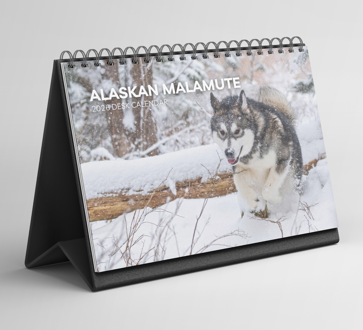 Alaskan Malamute Desk Calendar 2026-2027