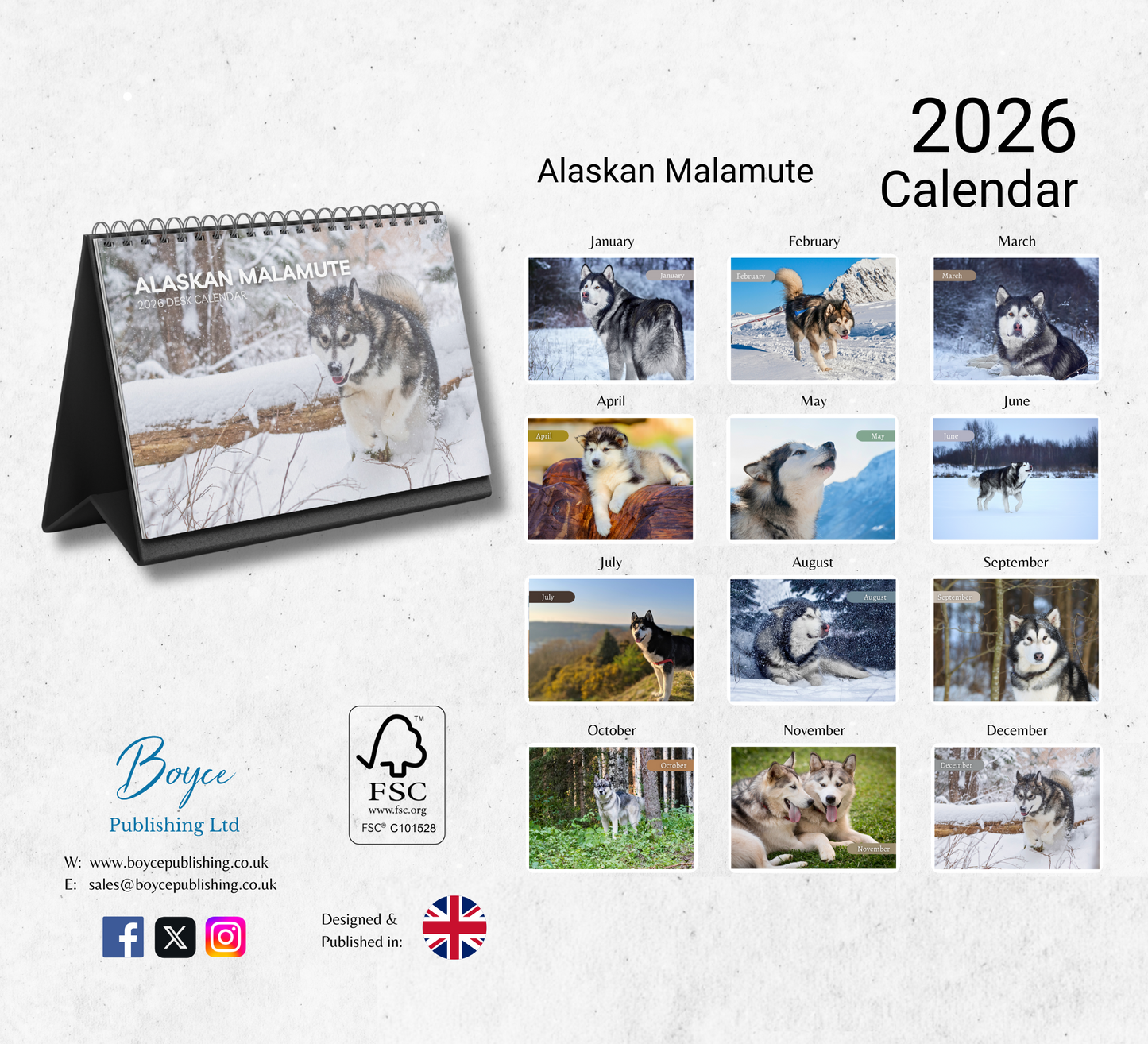 Alaskan Malamute Desk Calendar 2026-2027