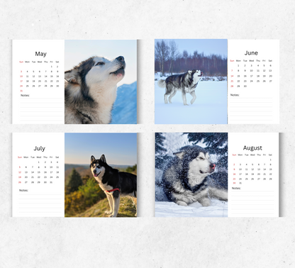 Alaskan Malamute Desk Calendar 2026-2027
