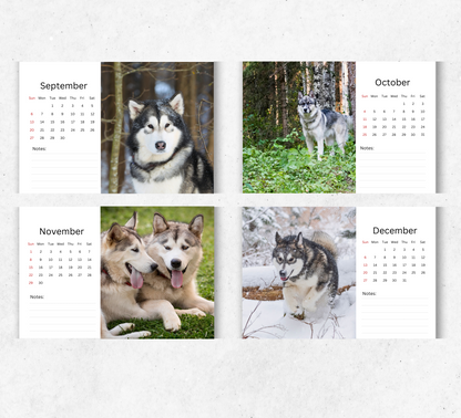 Alaskan Malamute Desk Calendar 2026-2027