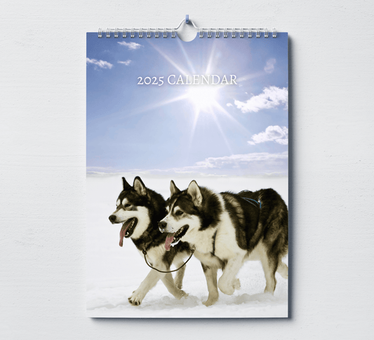 2025 Alaskan Malamute calendar featuring two malamutes walking in an artic field, panting as they walk.