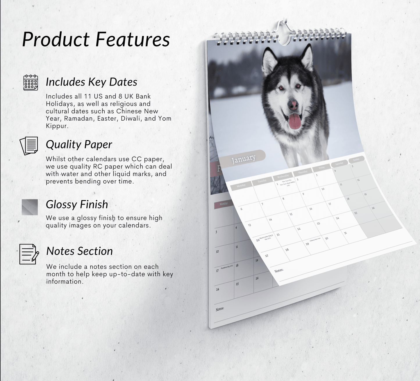 Alaskan Malamute Calendar 2025