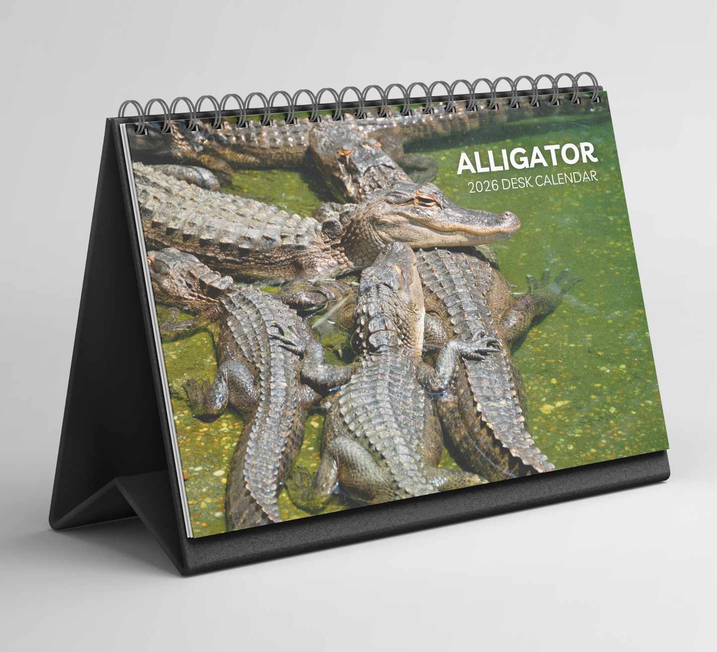 Alligator Desk Calendar 2026-2027