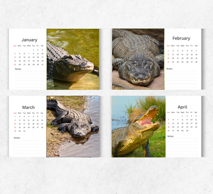 Alligator Desk Calendar 2026-2027