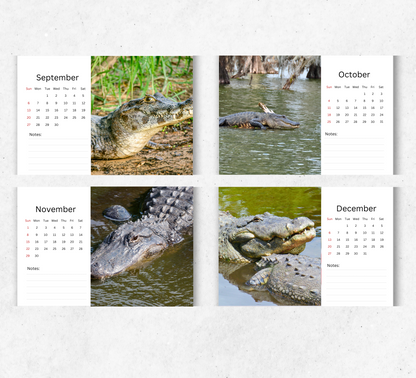 Alligator Desk Calendar 2026-2027