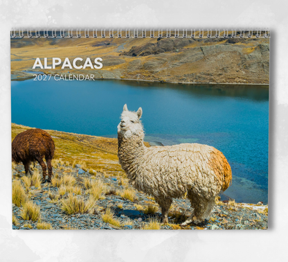 Alpacas Calendar 2027