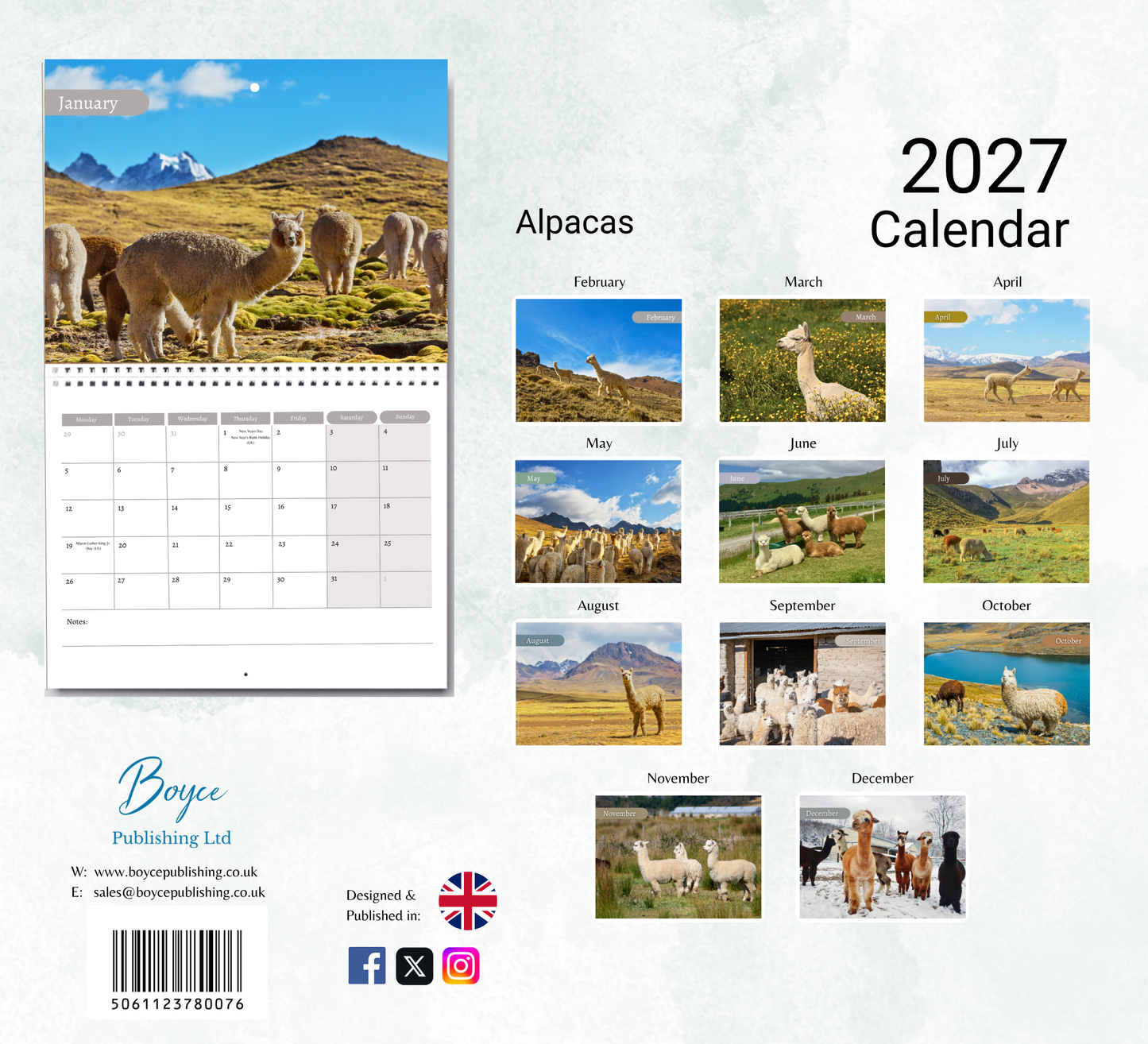 Alpacas Calendar 2027
