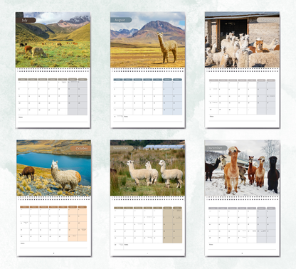 Alpacas Calendar 2027